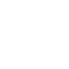 Eleven Labs